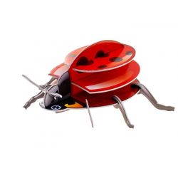3D - hmyz - 4 druhy